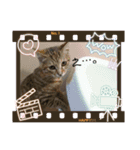 kikiちゃん(ФωФ)（個別スタンプ：16）