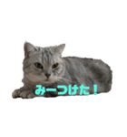 ガンバアクト1107（個別スタンプ：6）