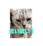 ガンバアクト1107（個別スタンプ：18）