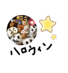 イベント⭐️（個別スタンプ：12）