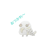 Zoosy(ズージー)•Zoufy(ゾーフィー)（個別スタンプ：6）