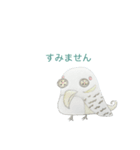 Zoosy(ズージー)•Zoufy(ゾーフィー)（個別スタンプ：7）