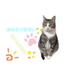 かなとと猫の日常①✌︎☺︎︎（個別スタンプ：4）