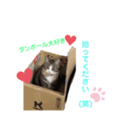 かなとと猫の日常①✌︎☺︎︎（個別スタンプ：16）