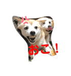 ももかぶ②（個別スタンプ：4）