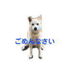 ももかぶ②（個別スタンプ：10）