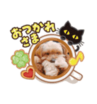 愛犬ララ2（個別スタンプ：2）