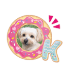 愛犬ララ2（個別スタンプ：3）