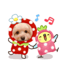 愛犬ララ2（個別スタンプ：5）