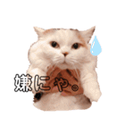 まさぶりあずと仲間たち①（個別スタンプ：5）