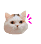 まさぶりあずと仲間たち①（個別スタンプ：9）