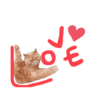 まさぶりあずと仲間たち①（個別スタンプ：10）