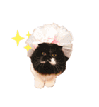 まさぶりあずと仲間たち①（個別スタンプ：13）