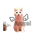 まさぶりあずと仲間たち①（個別スタンプ：16）