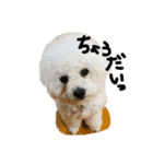 おもちのきもち。。。（個別スタンプ：2）