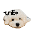 おもちのきもち。。。（個別スタンプ：7）