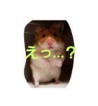 ぽてとパパ（個別スタンプ：3）