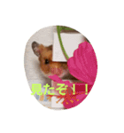 ぽてとパパ（個別スタンプ：4）