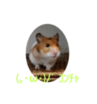 ぽてとパパ（個別スタンプ：12）