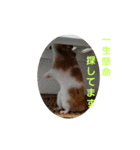 ぽてとパパ（個別スタンプ：14）