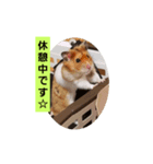 ぽてとパパ（個別スタンプ：18）