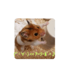 ぽてとパパ（個別スタンプ：21）