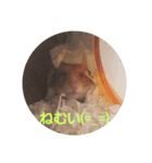 ぽてとパパ（個別スタンプ：22）