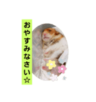 ぽてとパパ（個別スタンプ：23）