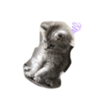 ニラ（個別スタンプ：2）