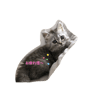 ニラ（個別スタンプ：5）
