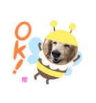 あたち櫻だよ！（個別スタンプ：14）
