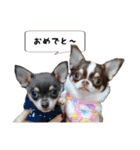 マロンちゃんとルナくん ＾＾（個別スタンプ：34）