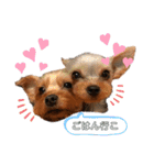 みみちゃんとぽぽちゃん（個別スタンプ：11）