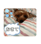 みみちゃんとぽぽちゃん（個別スタンプ：19）