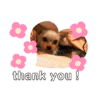 みみちゃんとぽぽちゃん（個別スタンプ：32）