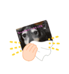 うちなの、可愛い動物たち（個別スタンプ：3）