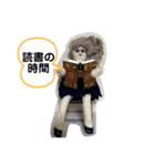 キュートなマチルダさんのスタンプ❤️（個別スタンプ：10）