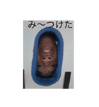 だんきくんのスーパースペシャルスタンプ（個別スタンプ：8）