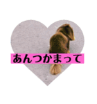 津軽弁とキット（個別スタンプ：2）