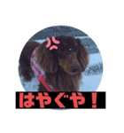 津軽弁とキット（個別スタンプ：6）