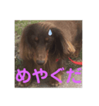 津軽弁とキット（個別スタンプ：7）