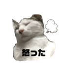 ネネちゃん＆フーちゃん＆ミーちゃん（個別スタンプ：4）