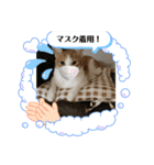 Rin Home（個別スタンプ：2）