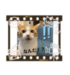 Rin Home（個別スタンプ：5）