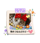 Rin Home（個別スタンプ：7）