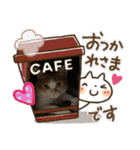 Rin Home（個別スタンプ：10）