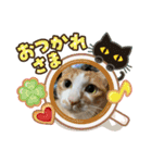 Rin Home（個別スタンプ：13）