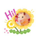 キンクマハムスターくぅたん（個別スタンプ：4）