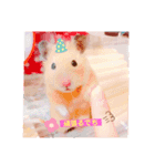 キンクマハムスターくぅたん（個別スタンプ：5）