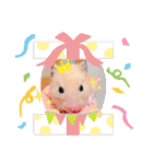 キンクマハムスターくぅたん（個別スタンプ：11）